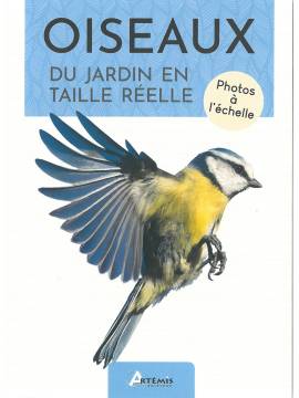 OISEAUX DU JARDIN EN TAILLE REELLE