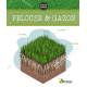 PELOUSE & GAZON
