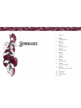 LE GRIMOIRE DE LA SORCIERE