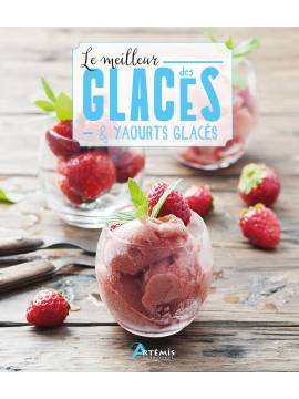 LE MEILLEUR DES GLACES ET YAOURTS GLACES