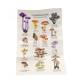 COFFRET MEILLEURS CHAMPIGNONS COMESTIBLES - 36 CARTES + 1 POSTER