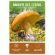 COFFRET MEILLEURS CHAMPIGNONS COMESTIBLES - 36 CARTES + 1 POSTER