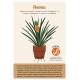 COFFRET CARTES PLANTES D'INTERIEUR 36 CARTES + 1 POSTER