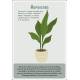 COFFRET CARTES PLANTES D'INTERIEUR 36 CARTES + 1 POSTER