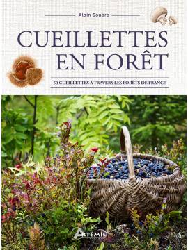 CUEILLETTES EN FORET