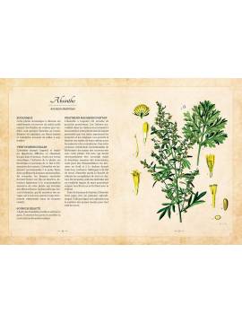 HERBIER DU BIEN-ETRE