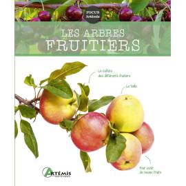 LES ARBRES FRUITIERS