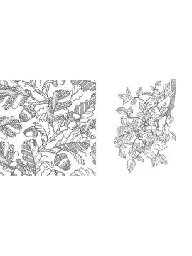 JARDINS EXTRAORDINAIRES COLORIE-THERAPIE