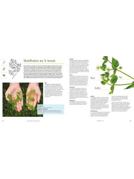 AVENTURES VEGETALES : CUEILLIR CUISINER, CREER AVEC LES PLANTES