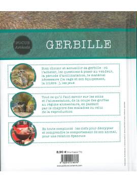 GERBILLE