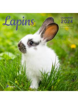 CALENDRIER LAPINS 2024