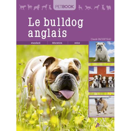 BULLDOG ANGLAIS