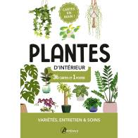 COFFRET CARTES PLANTES D'INTERIEUR 36 CARTES + 1 POSTER