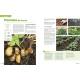 LE GRAND LIVRE DU POTAGER