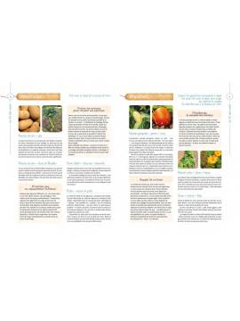 LES BONS GESTES AU POTAGER