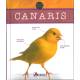 CANARIS
