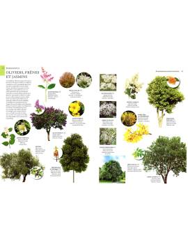 ENCYCLOPEDIE ILLUSTREE DU REGNE VEGETAL