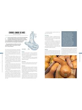 LEGUMES INSOLITES, RARES ET MECONNUS