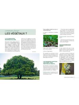 GUIDE D'INITIATION A LA BOTANIQUE