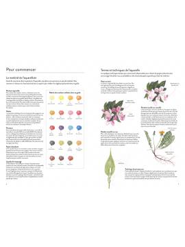 FLEURS SAUVAGES A L'AQUARELLE 15 ESQUISSES PRETES À PEINDRE