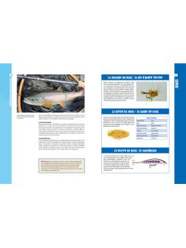 PECHES FACILES AU FIL DES SAISONS