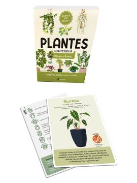 COFFRET CARTES PLANTES D'INTERIEUR 36 CARTES + 1 POSTER