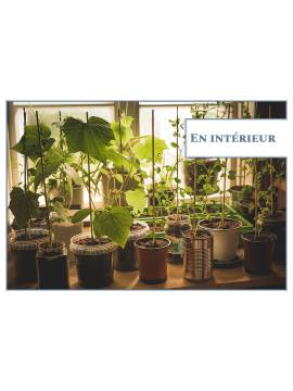 MINI-POTAGER POUR TOUTES LES SITUATIONS