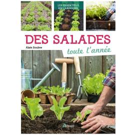 DES SALADES TOUTE L'ANNEE
