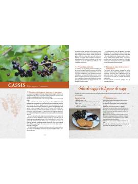 CONFITURES ET GELEES MAISON