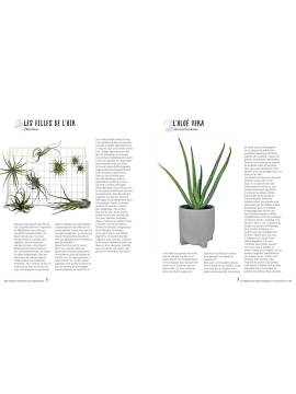 MA DECO INTERIEURE AVEC DES PLANTES PROJETS DIY