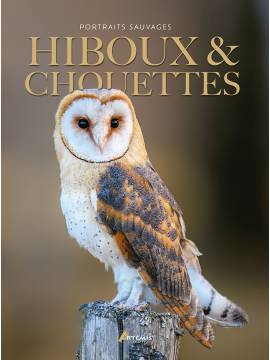 HIBOUX & CHOUETTES
