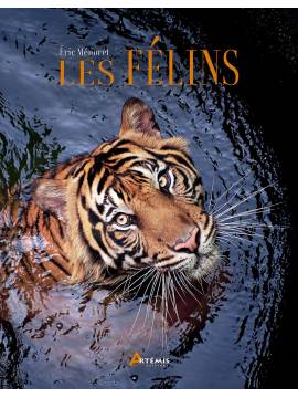 LES FELINS