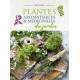PLANTES AROMATIQUES ET MEDICINALES DU JARDIN