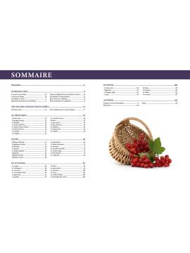 CUEILLETTES EN FORET