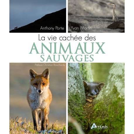 LA VIE CACHEE DES ANIMAUX SAUVAGES