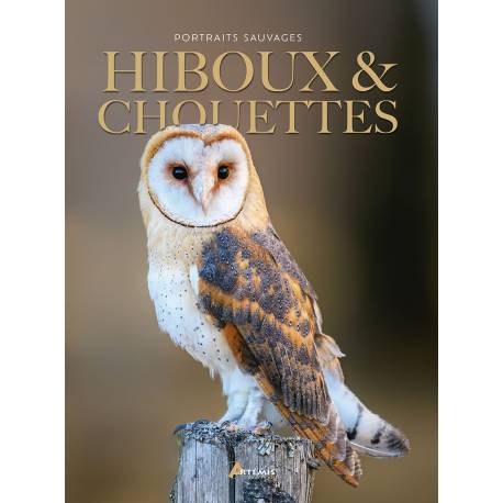 HIBOUX & CHOUETTES