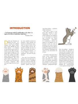 ADOPTER LA PHILOSOPHIE DU CHAT