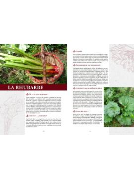 ELIXIRS GOURMANDS DES JARDINS ET DES CHAMPS