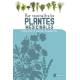POUR RECONNAITRE LES PLANTES MEDICINALES
