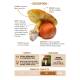 COFFRET MEILLEURS CHAMPIGNONS COMESTIBLES - 36 CARTES + 1 POSTER