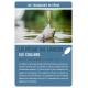 COFFRET PÊCHE EN EAU DOUCE 36 CARTES + 1 POSTER
