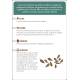 COFFRET CARTES PLANTES AROMATIQUES 36 CARTES + 8 ETIQUETTES A PLANTER