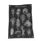 COFFRET CARTES PLANTES D'INTERIEUR 36 CARTES + 1 POSTER