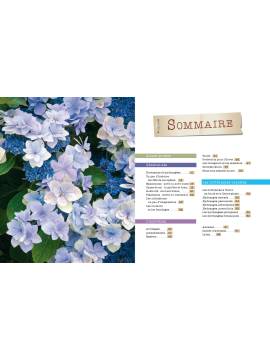 HORTENSIAS