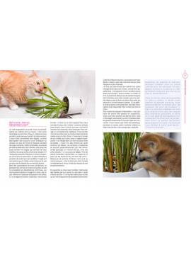 LES PLANTES AMIES DES ANIMAUX