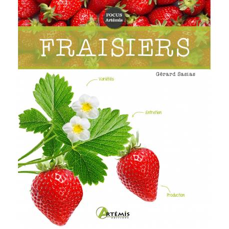 FRAISIERS