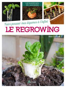 FAIRE POUSSER MES LEGUMES A L'INFINI : LE REGROWING