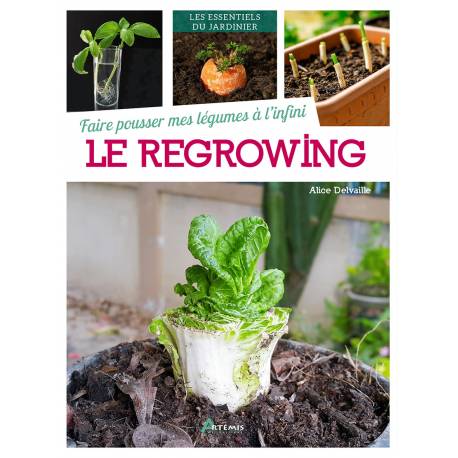 FAIRE POUSSER MES LEGUMES A L'INFINI : LE REGROWING