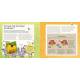 NOS AMIES LES ABEILLES