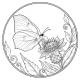 PAPILLONS 50 COLORIAGES